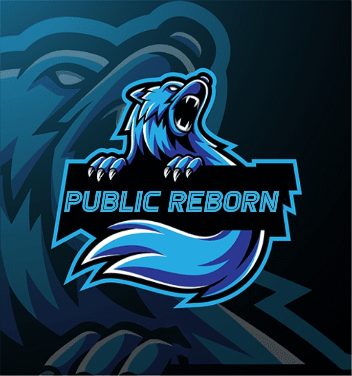 PUBLIC REBORN