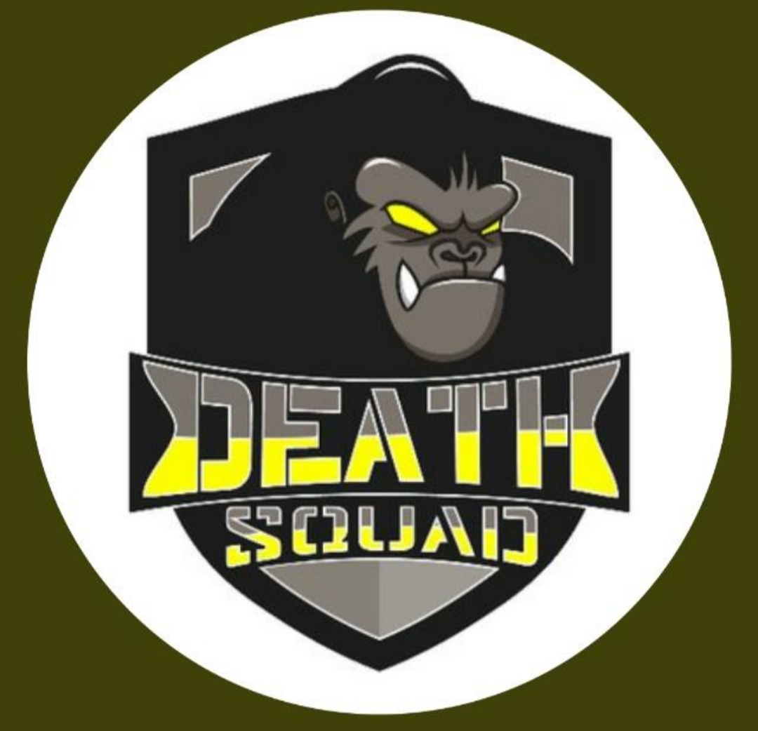 *DHEAT•SQUAD