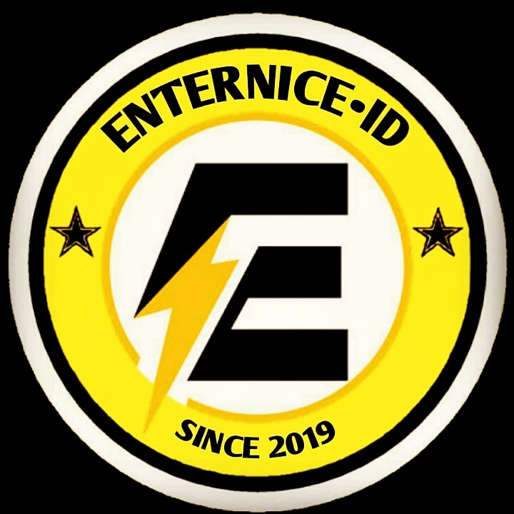 ENTERNICE AB