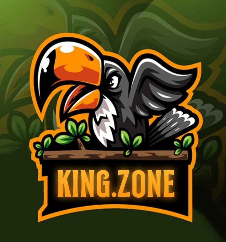 KING.ZONE