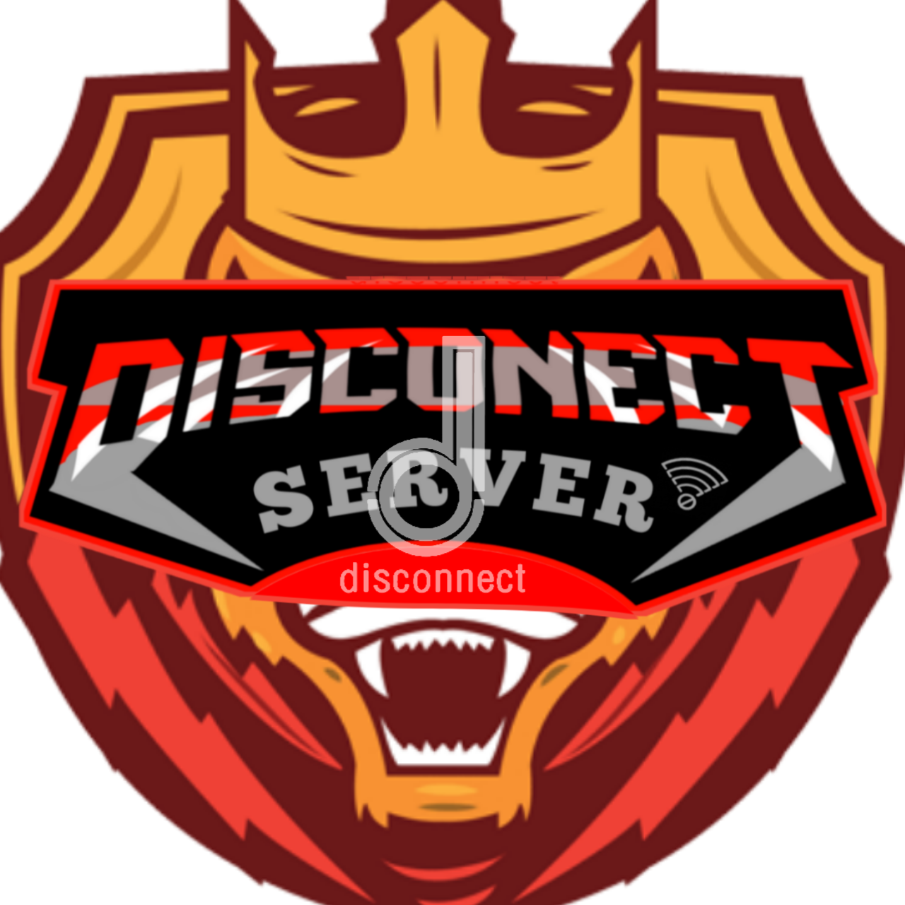 DiSCONECT TEAM