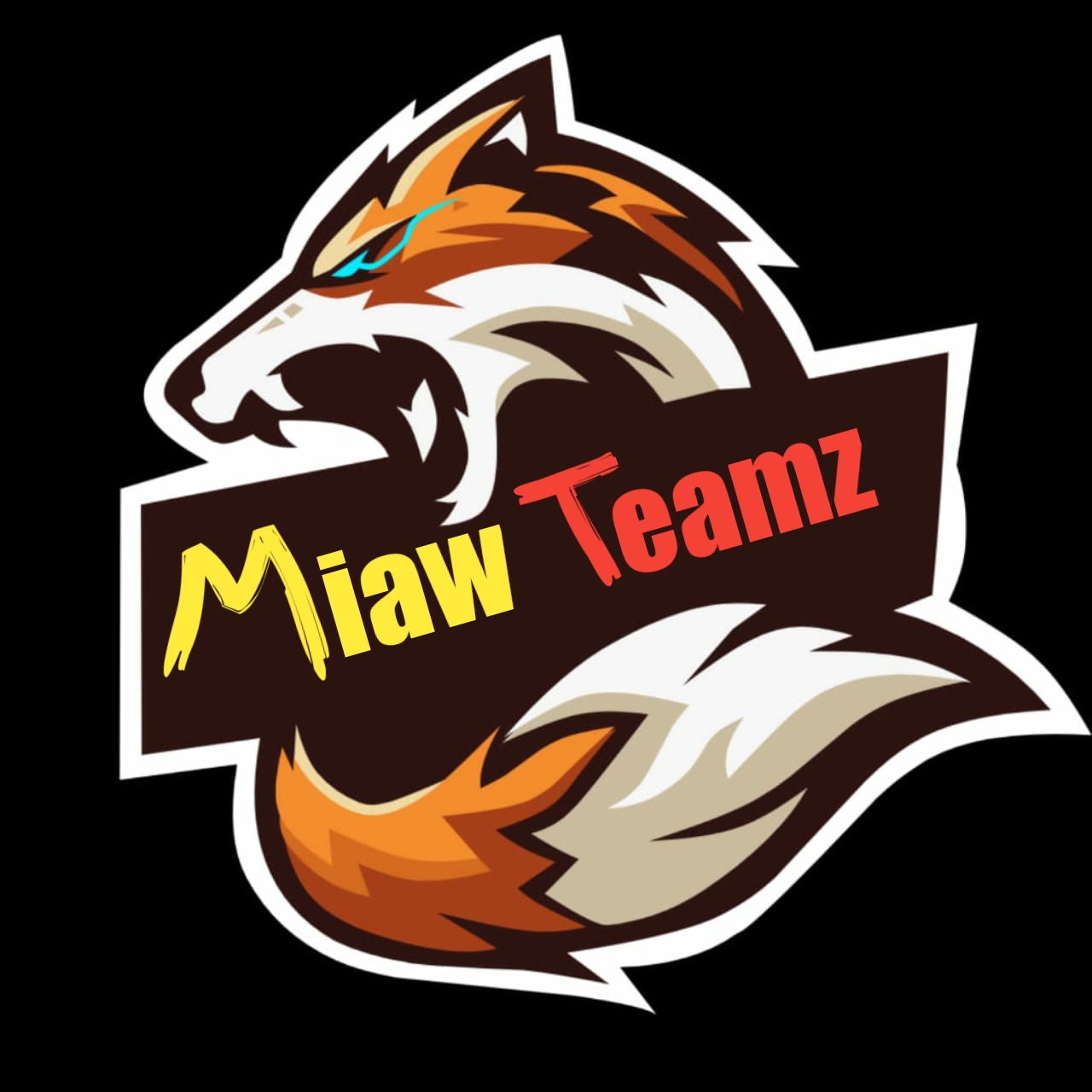 ♧Miaw°Teamz♡
