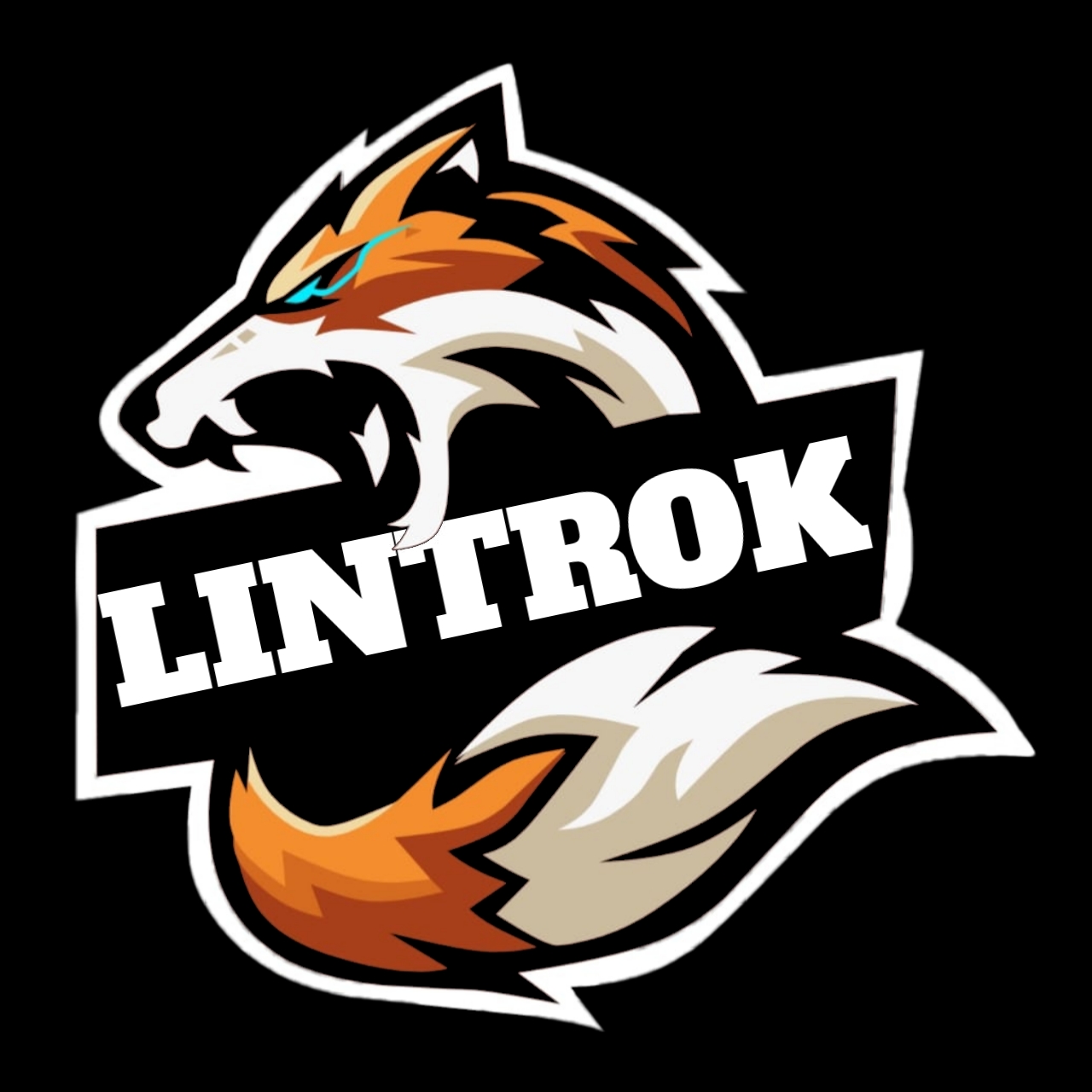 LINTROK