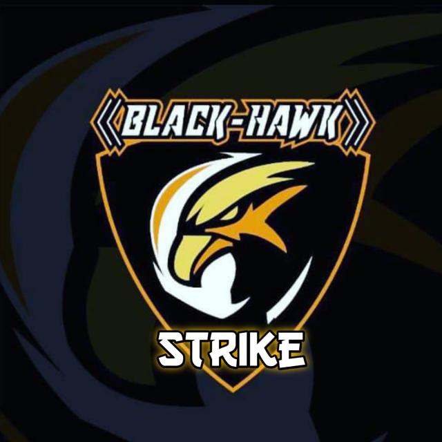 BLACKHAWK STRIKE