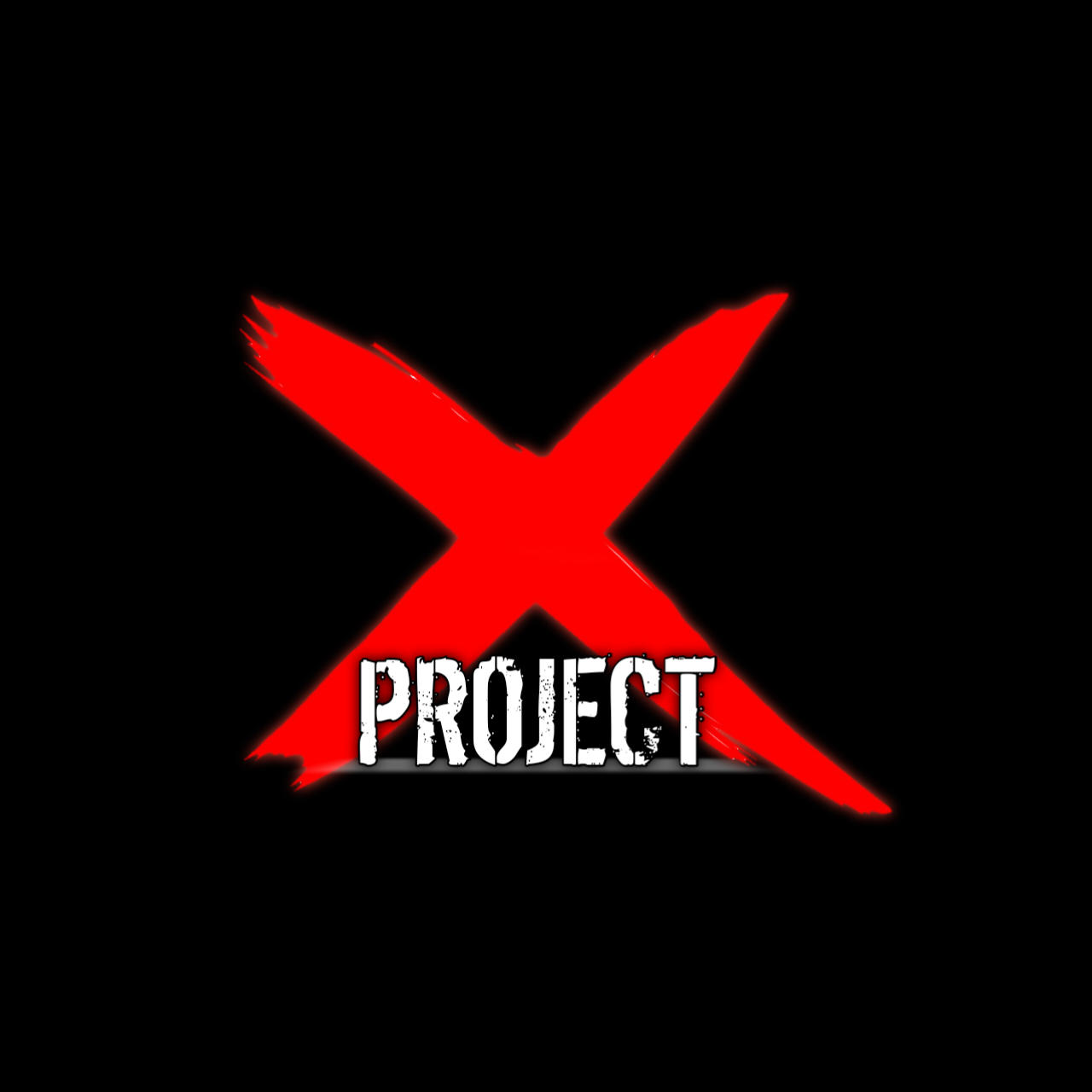 X PROJECT