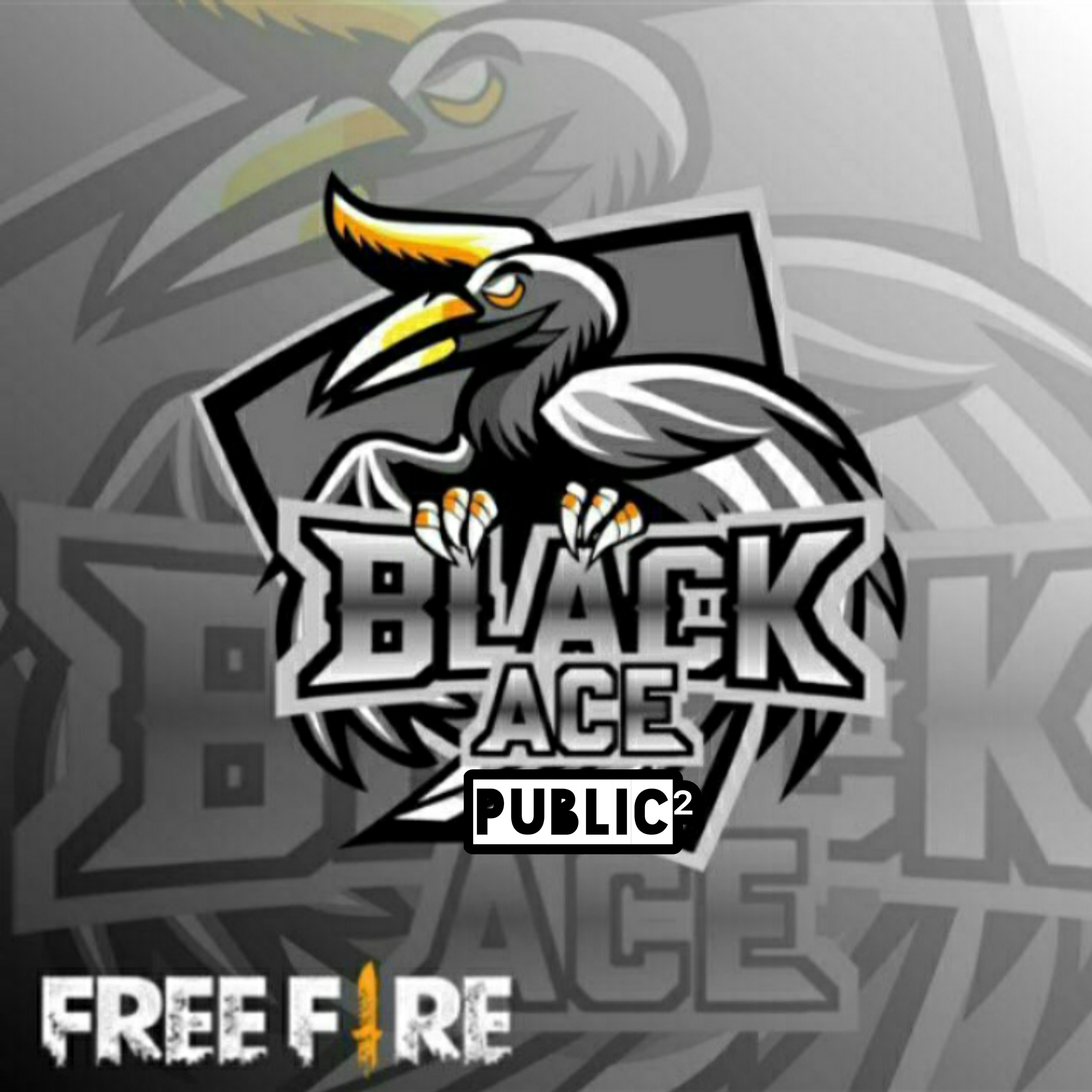 BLACK ACE PUBLIC²