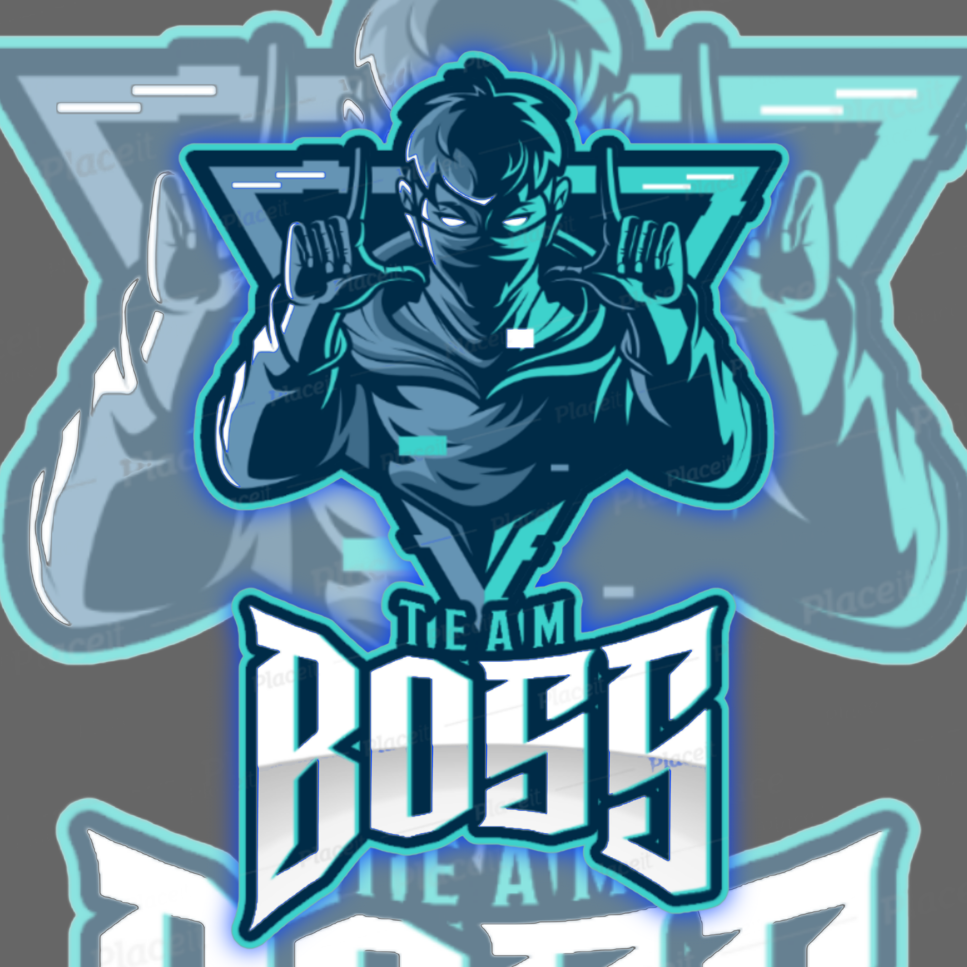 C.V.D`BOSS