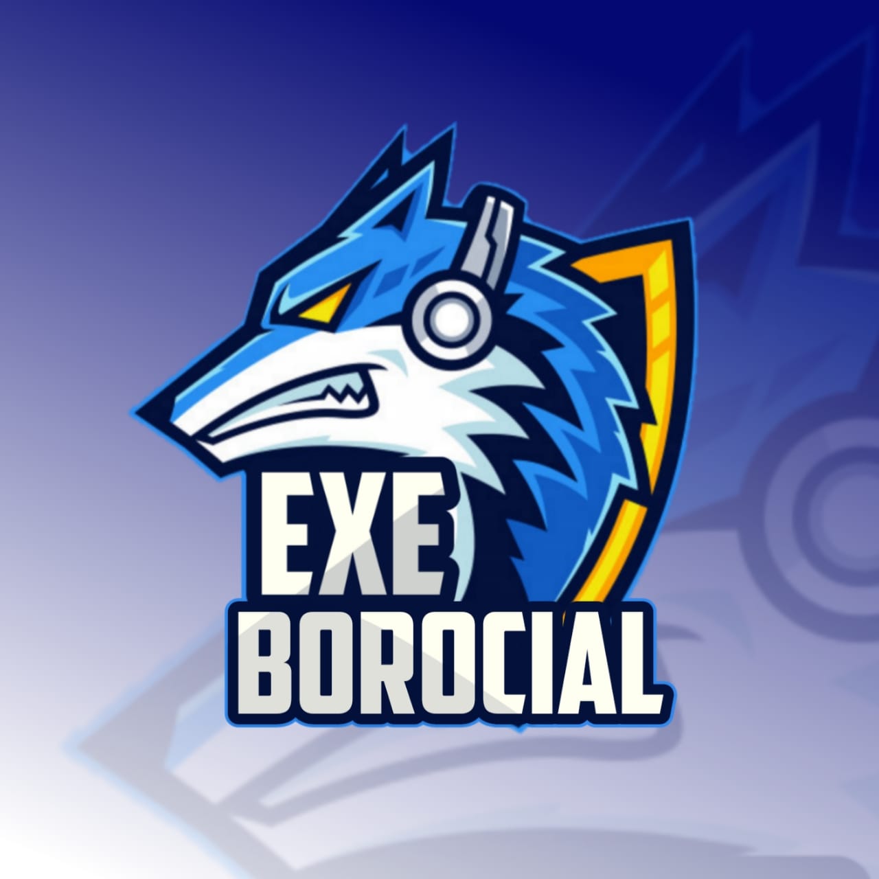 BOROCIAL EXE