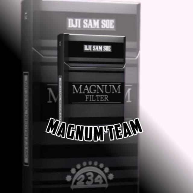 MAGNAH TEAM