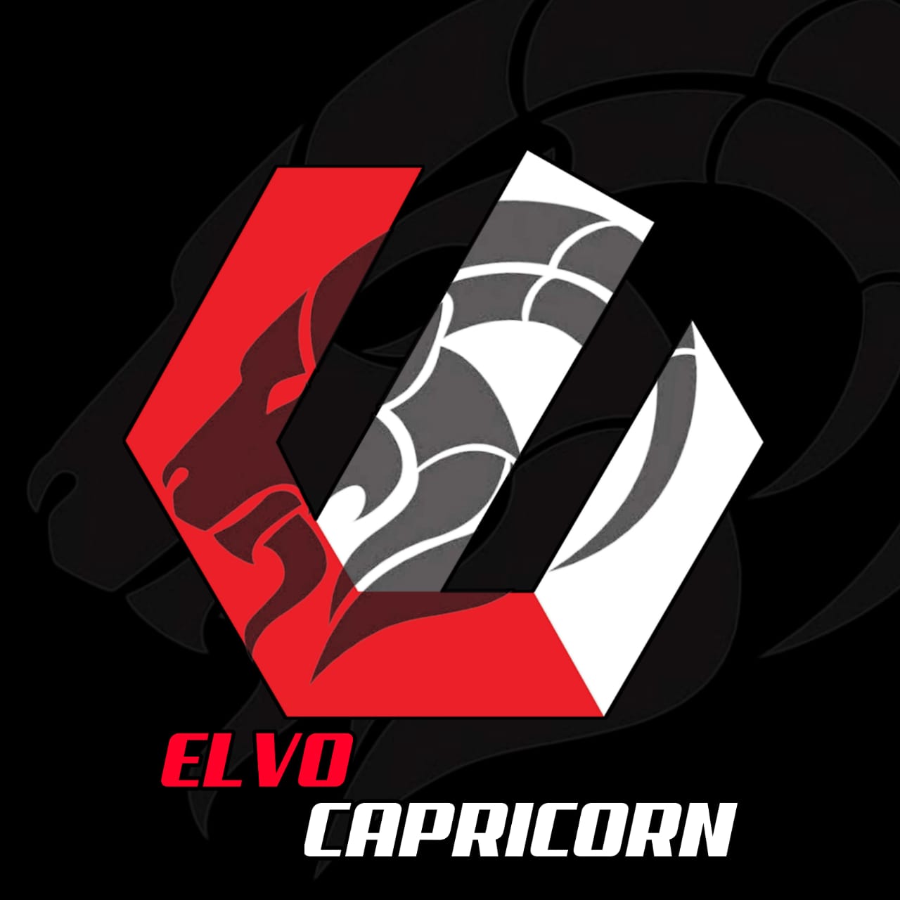 ELVO CAPRICORN