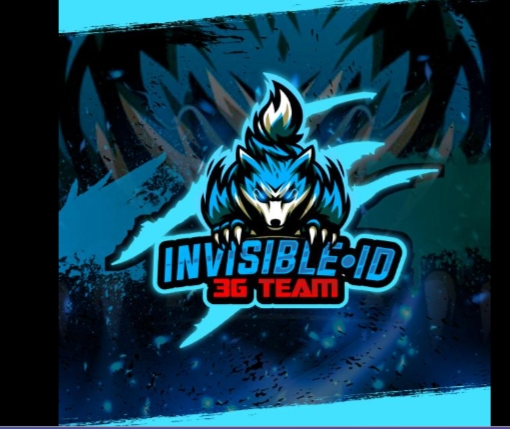 Inv 3g team