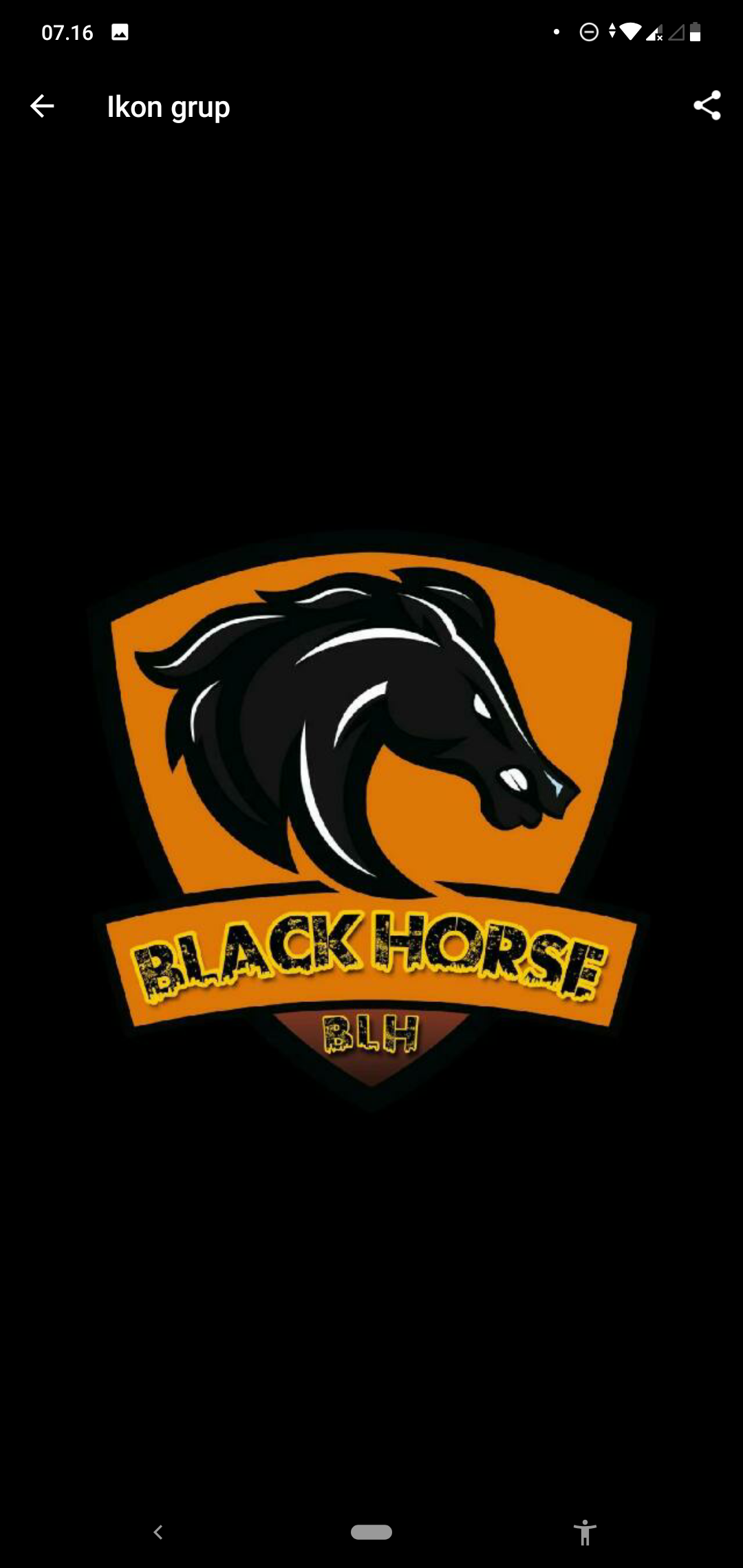 BLACK HORSE`Z¹⁰
