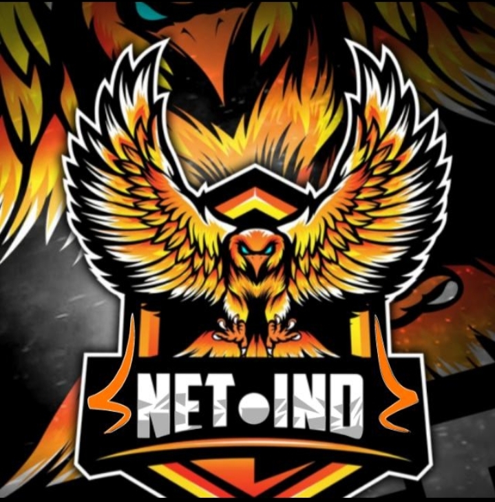NET IND