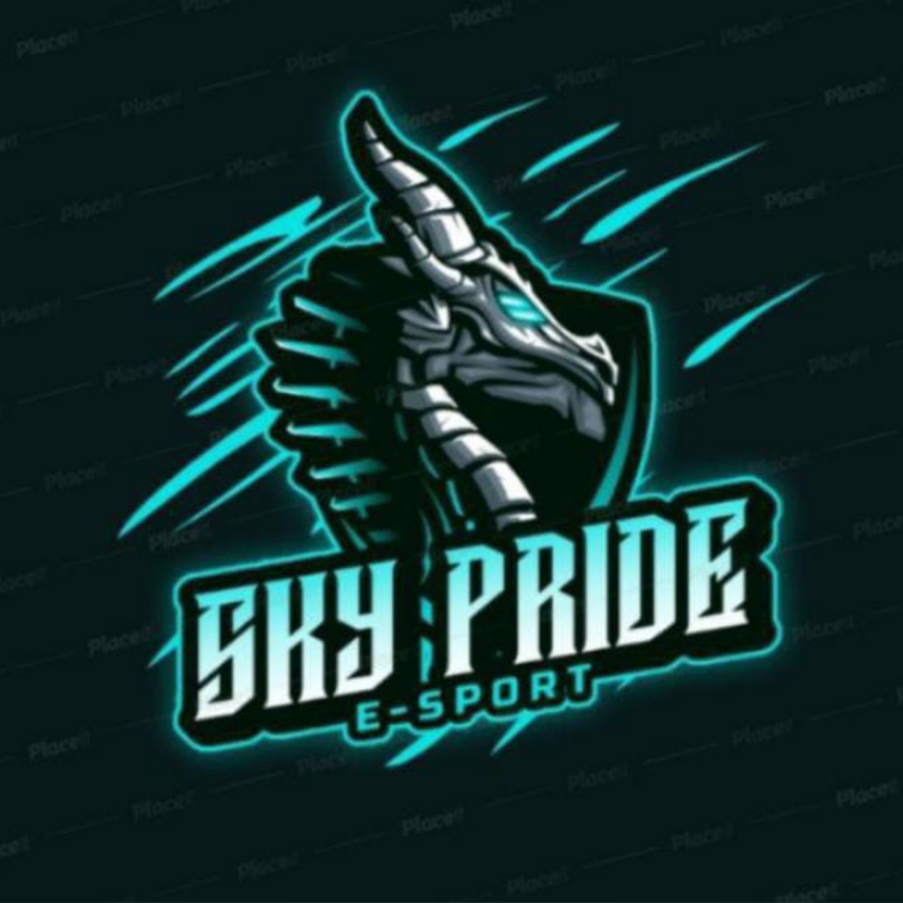 SKY•PRIDE