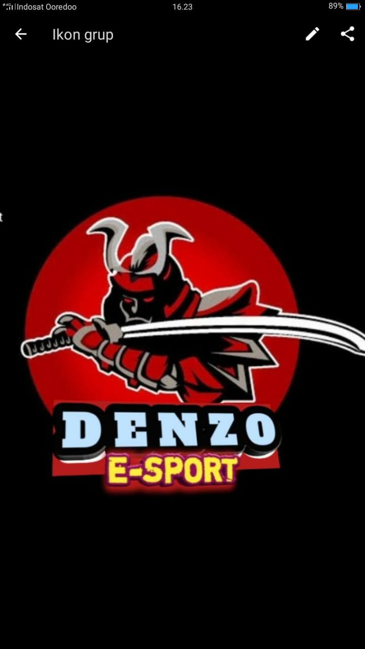 DENZO ESPORT