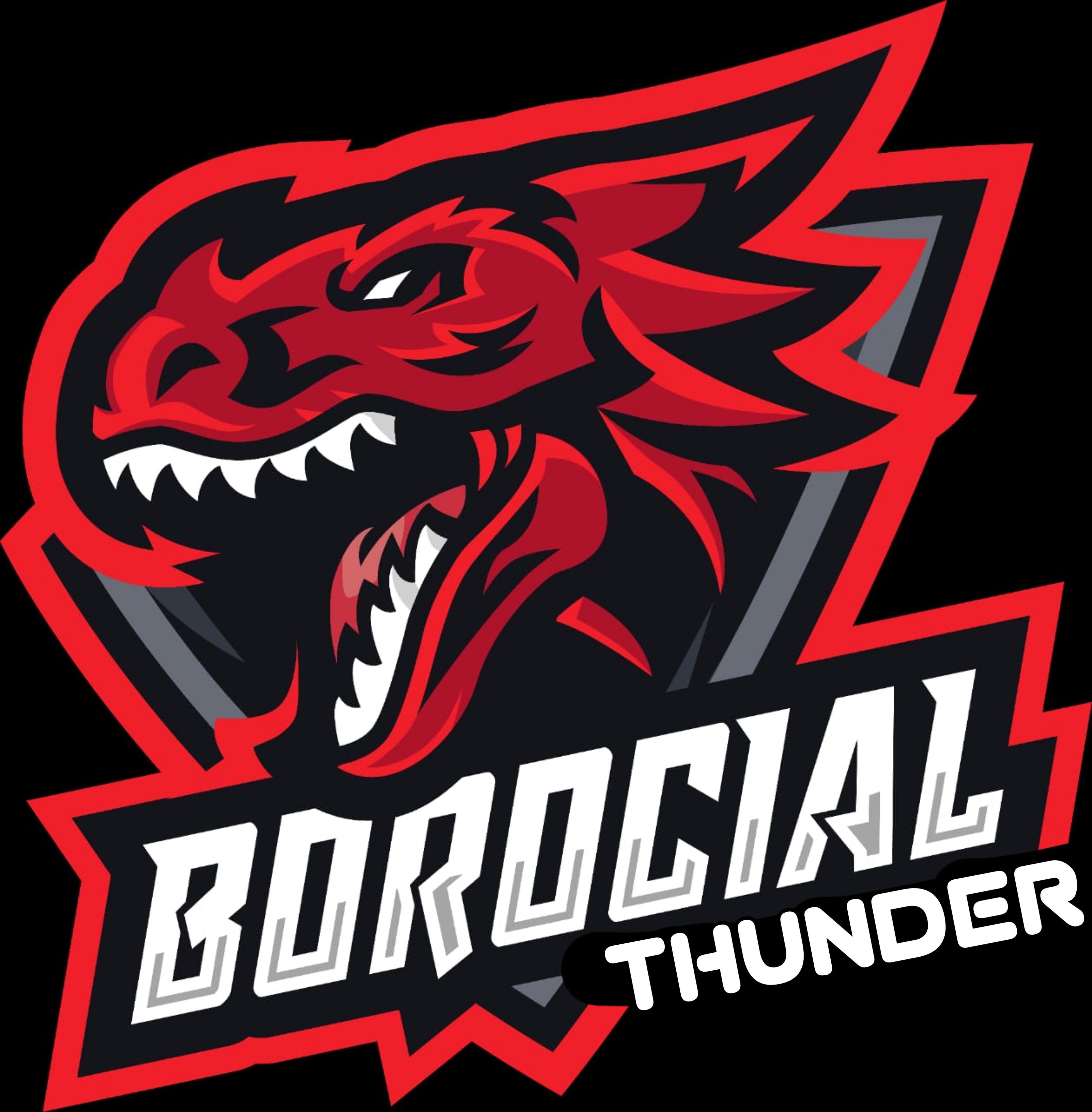 BOROCIAL THUNDER