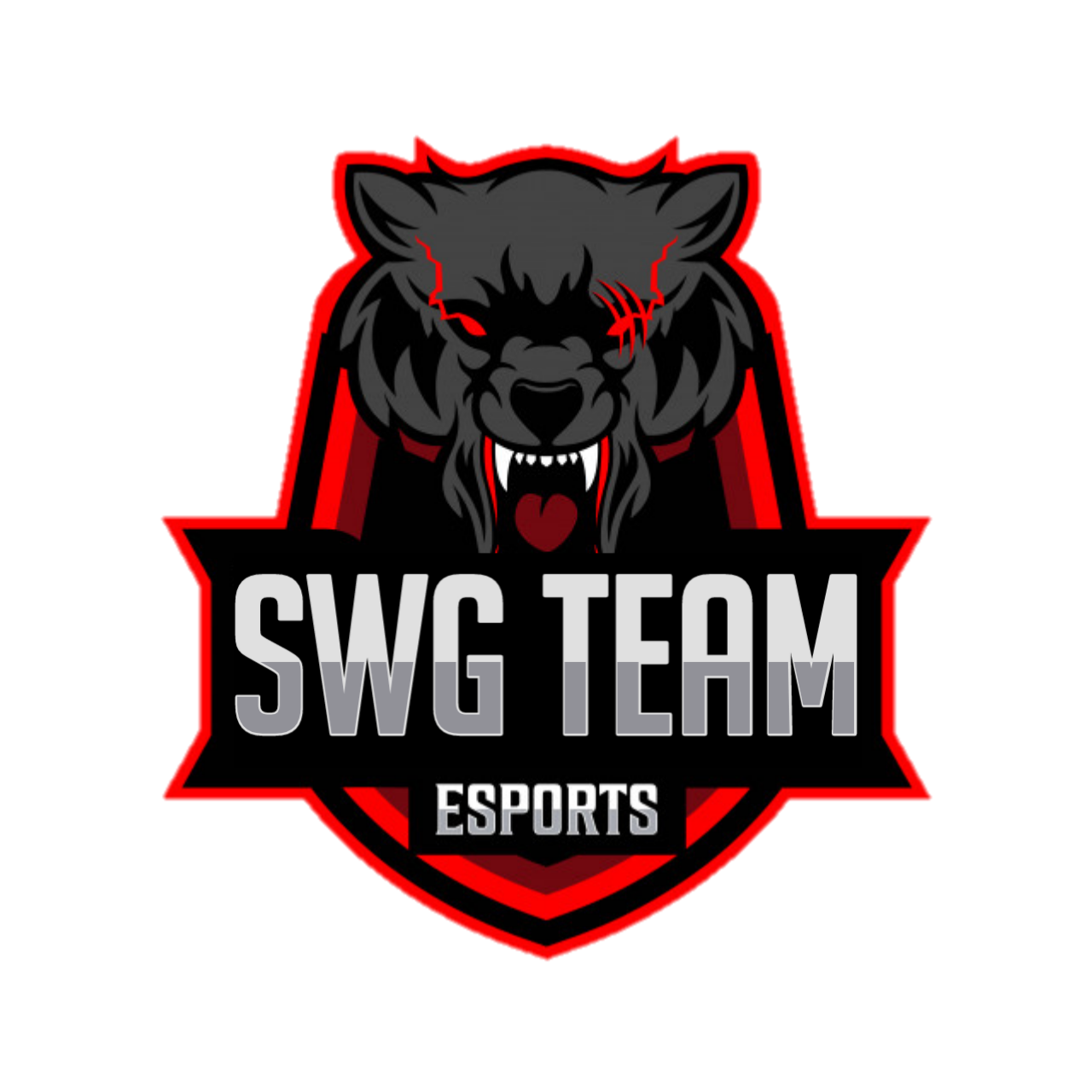 SWG TEAM ESPORTS