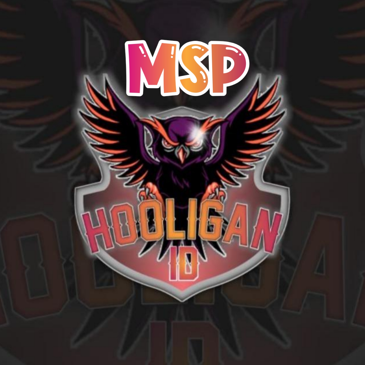 HLGN MSP
