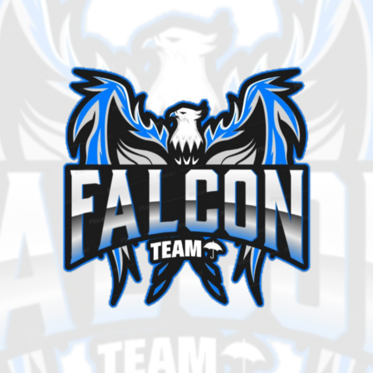 FALCON•TEAM