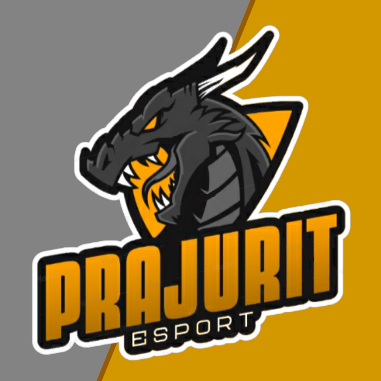 PJT•ESPORT