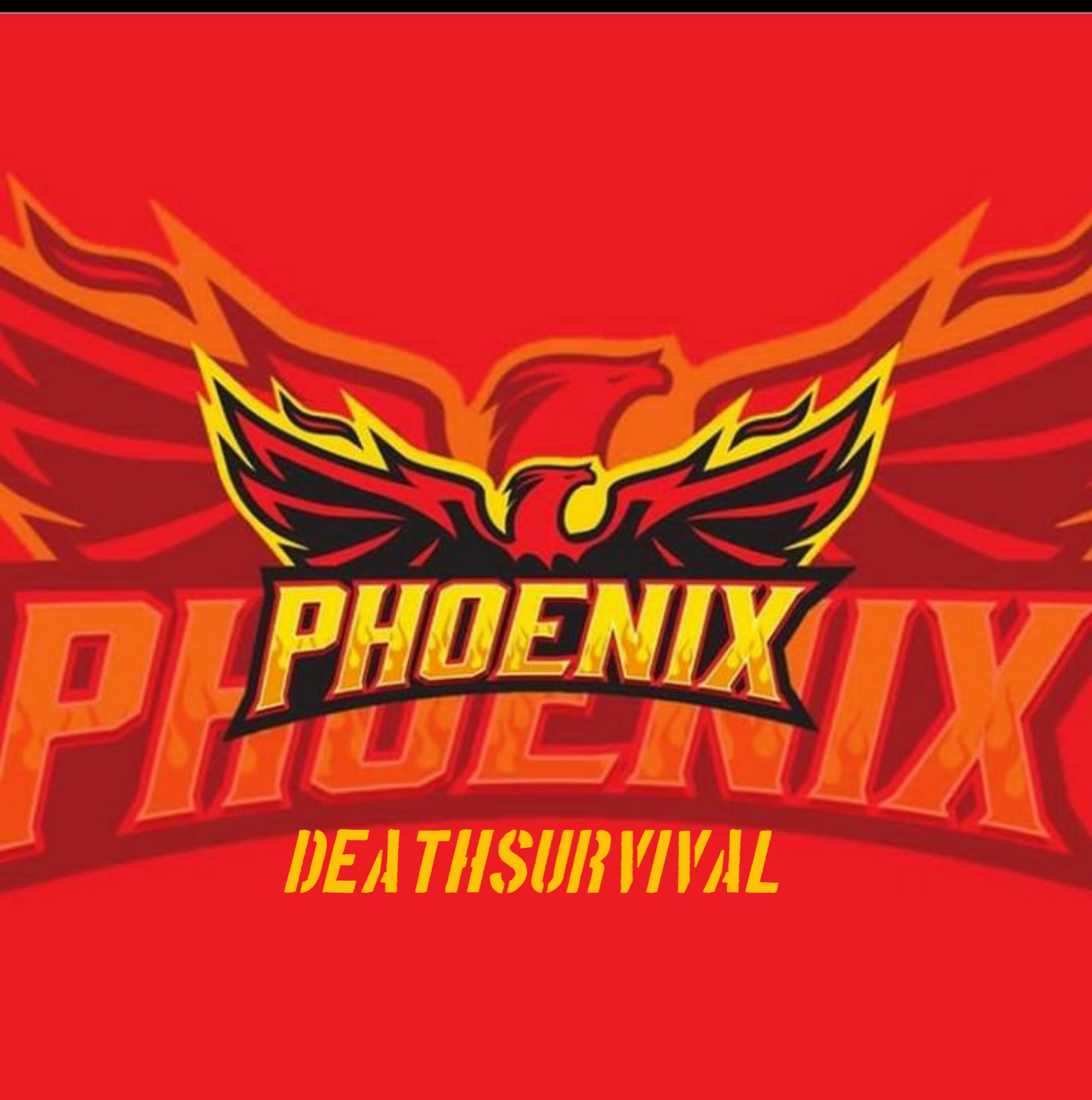 DS PHOENIX