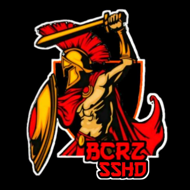 BCRZ SSHD