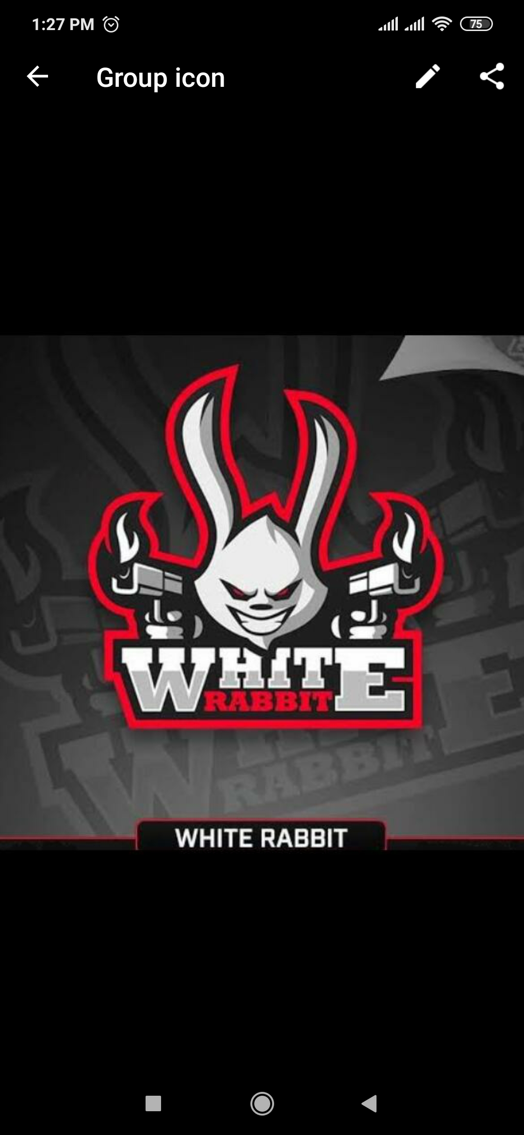 White°Rabbit