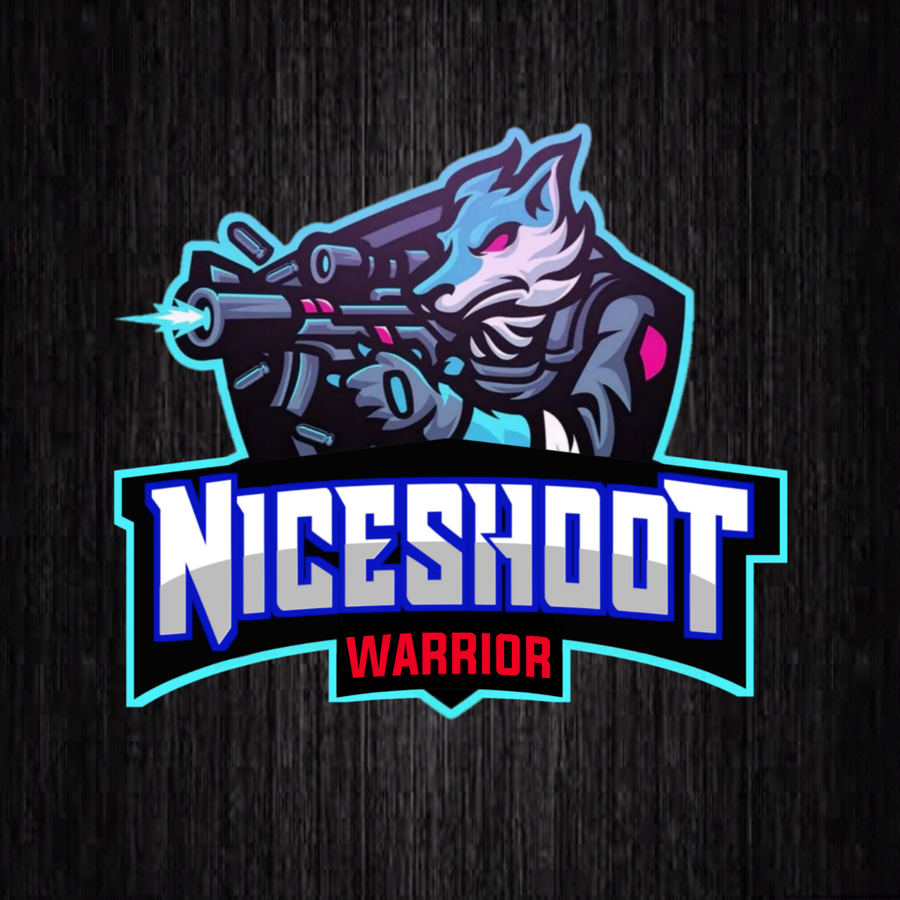 NICE SHOOT WARRIOR