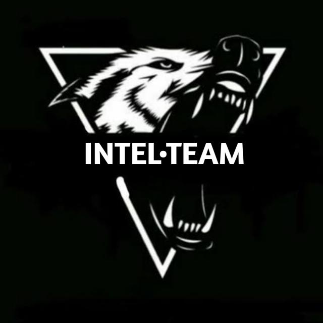 INTEL•TEAM