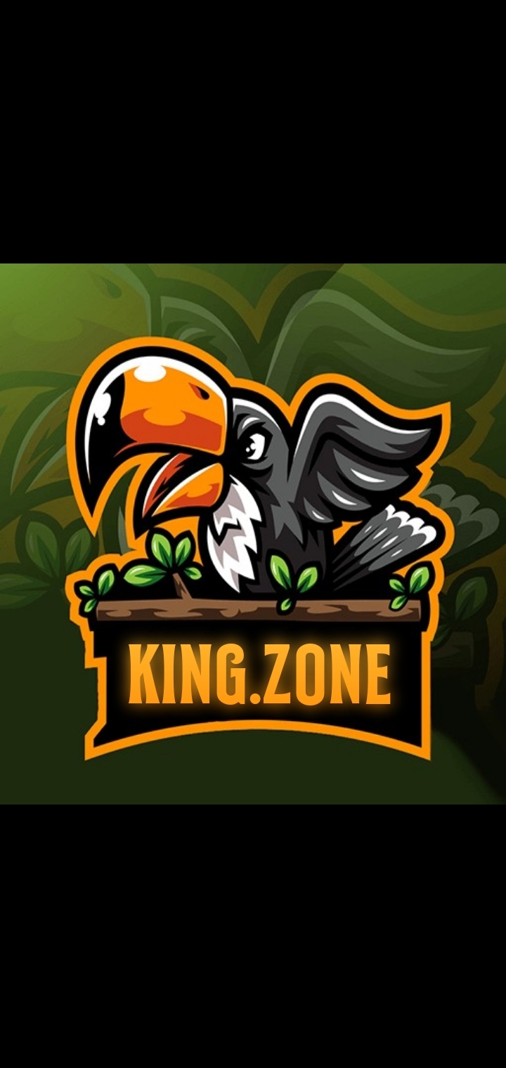 KING.ZONE