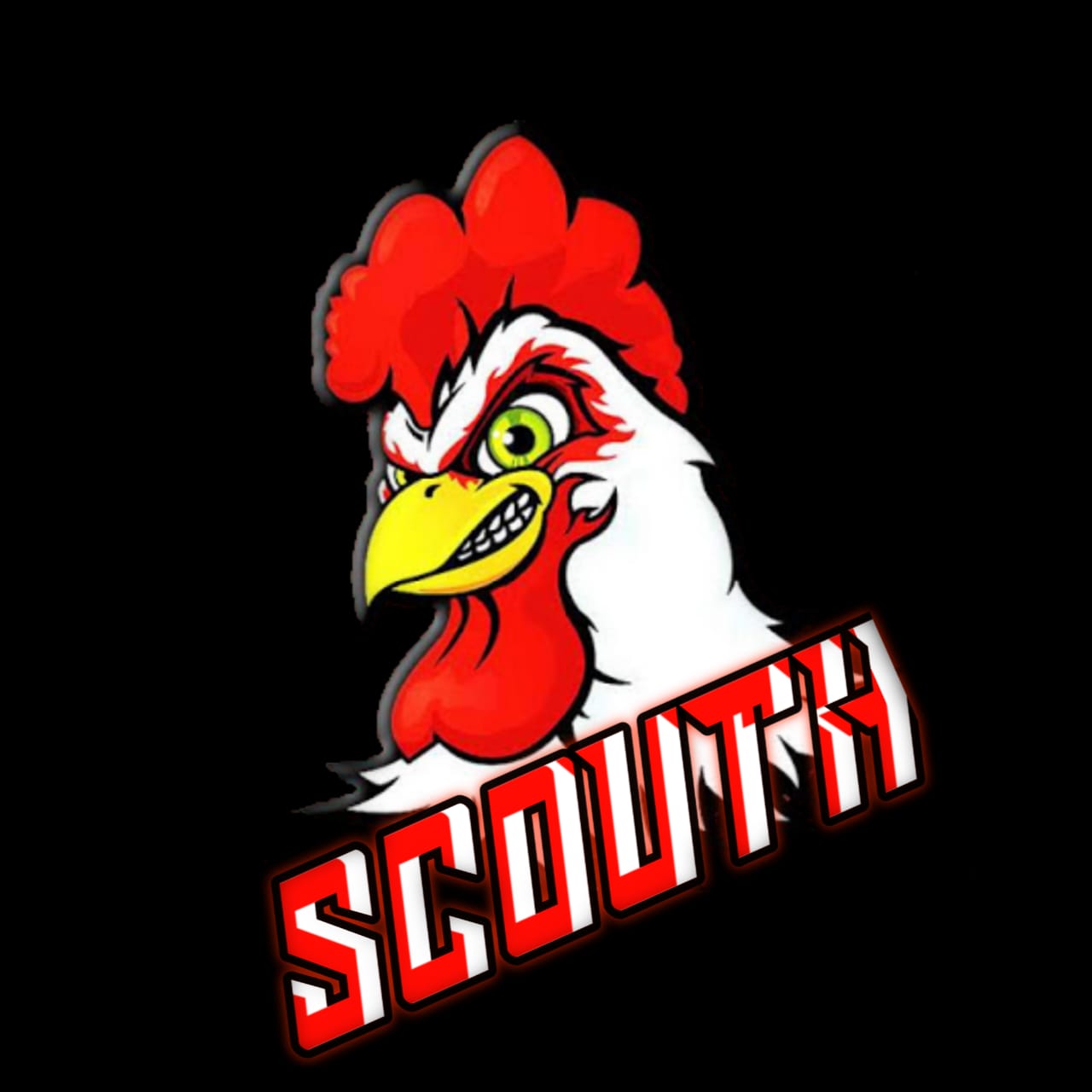 ꜱᴄᴏᴜᴛʜ・ɪᴅ