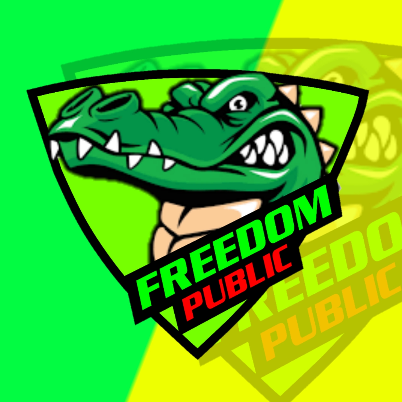 FREEDOMxPublic