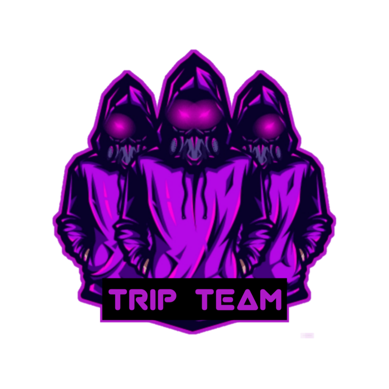 TRIP TEAM