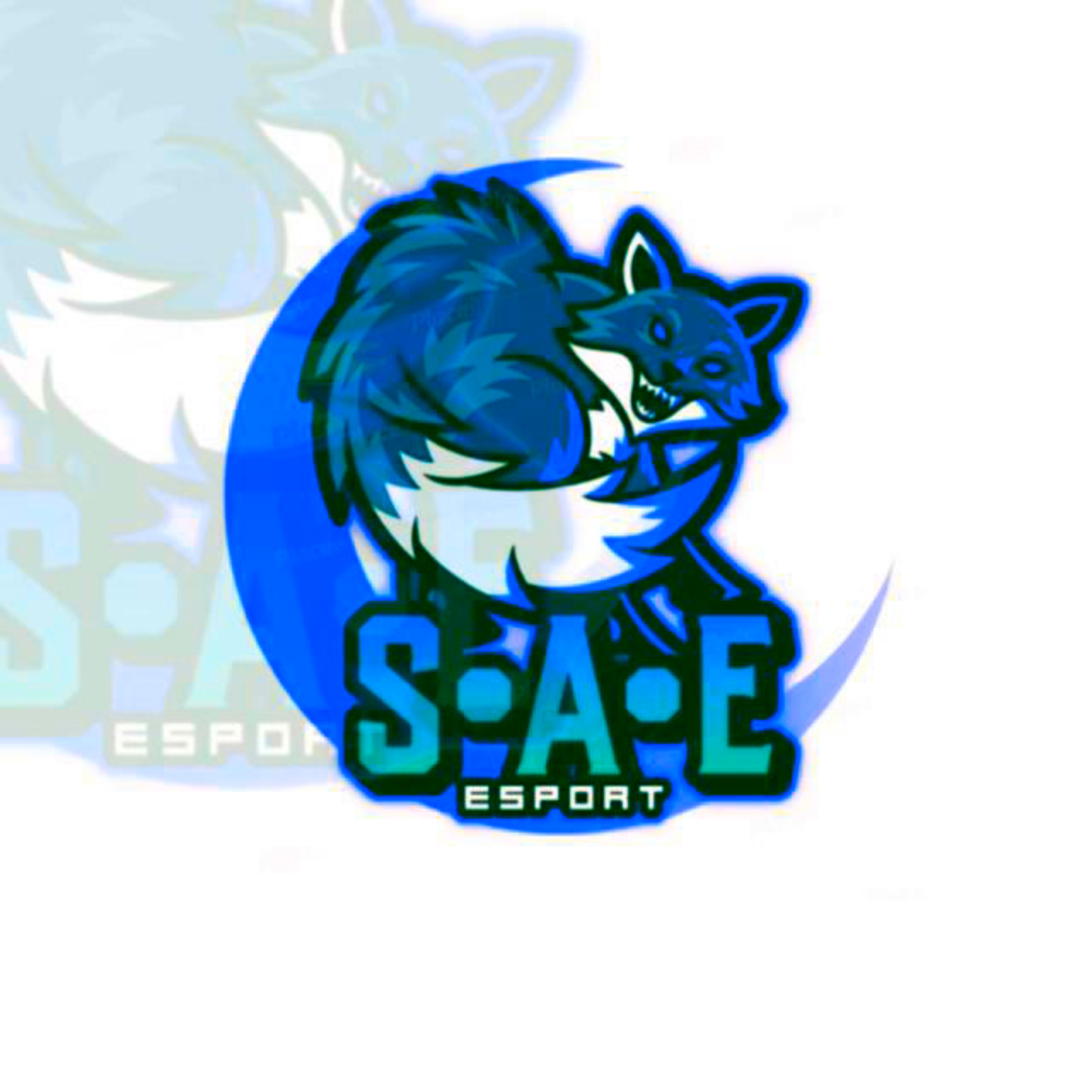 S.A.E•Esport