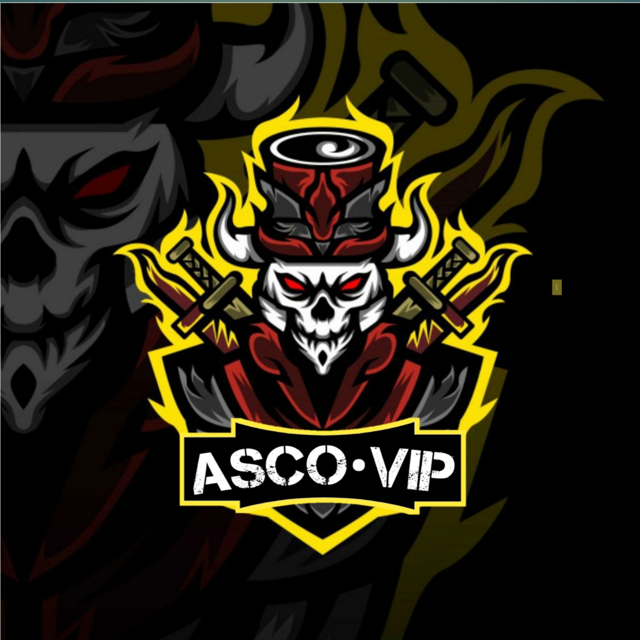 ASCO•VIP