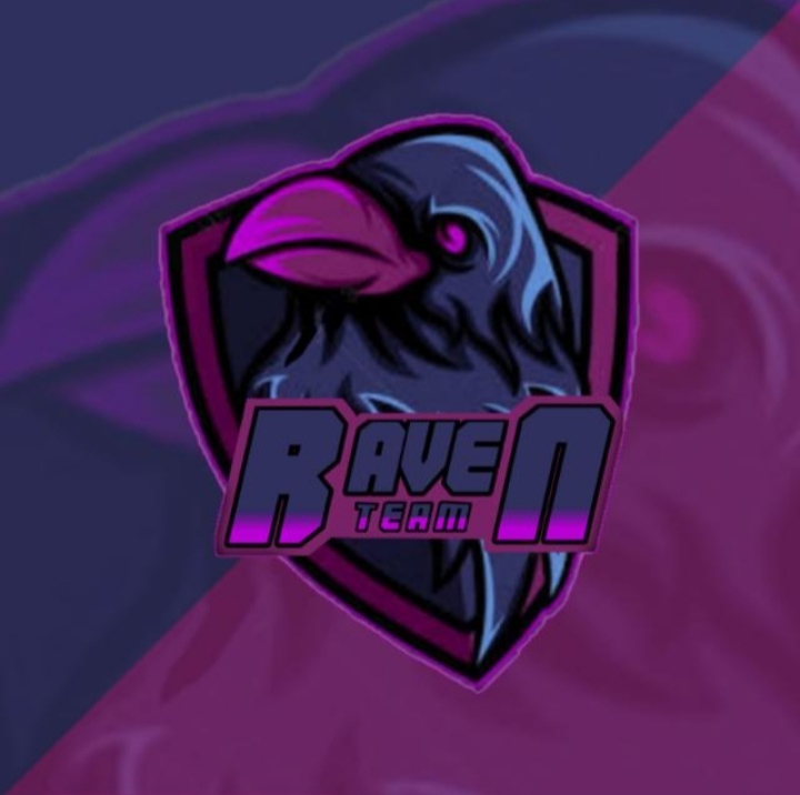 RAVEN TEAM
